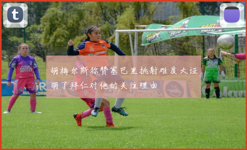 胡梅尔斯称赞塞巴里挑射难度大证明了拜仁对他的关注理由
