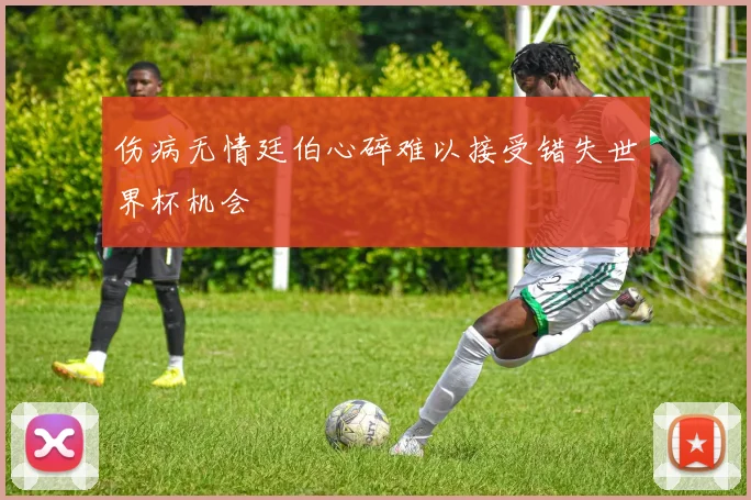 伤病无情廷伯心碎难以接受错失世界杯机会
