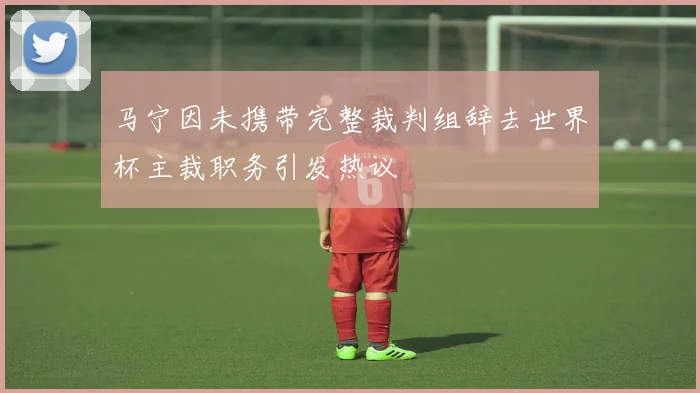 马宁因未携带完整裁判组辞去世界杯主裁职务引发热议