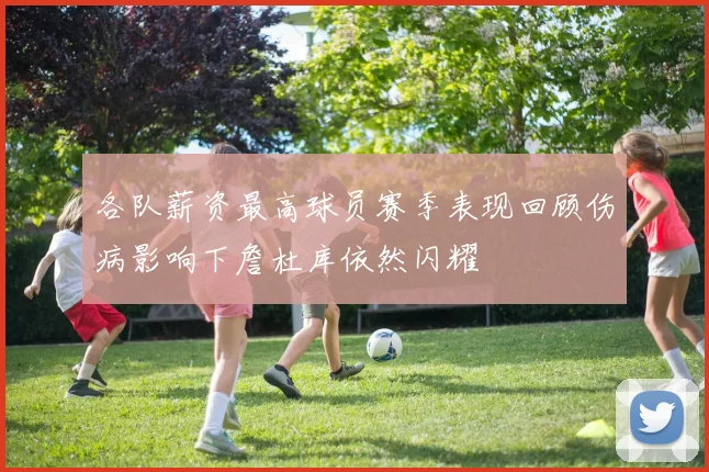 各队薪资最高球员赛季表现回顾伤病影响下詹杜库依然闪耀